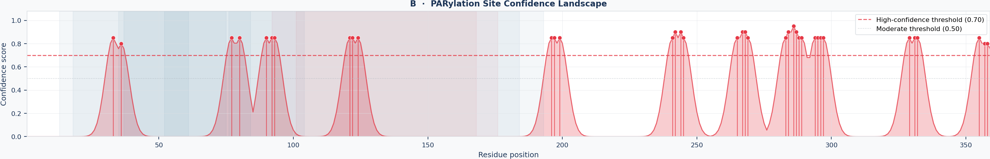 Panel B – Confidence Landscape